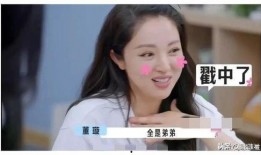 娱乐圈吃瓜400页小说,400页小说揭秘幕后真相