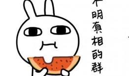 娱乐吃瓜酱文字的力量,揭秘娱乐圈背后的秘密与八卦风云