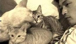 娱乐吃瓜猫张一张,揭秘娱乐圈背后的那些事儿