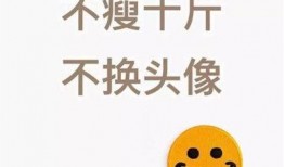 娱乐吃瓜酱文字的力量,揭秘娱乐圈背后的秘密与八卦风云