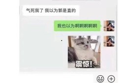 娱乐圈吃瓜年底冲业绩,吃瓜狂欢，明星业绩大揭秘！