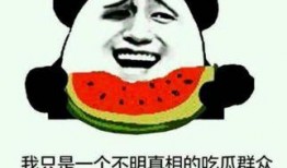 吃瓜娱乐打人案件真相,揭秘打人案件真相